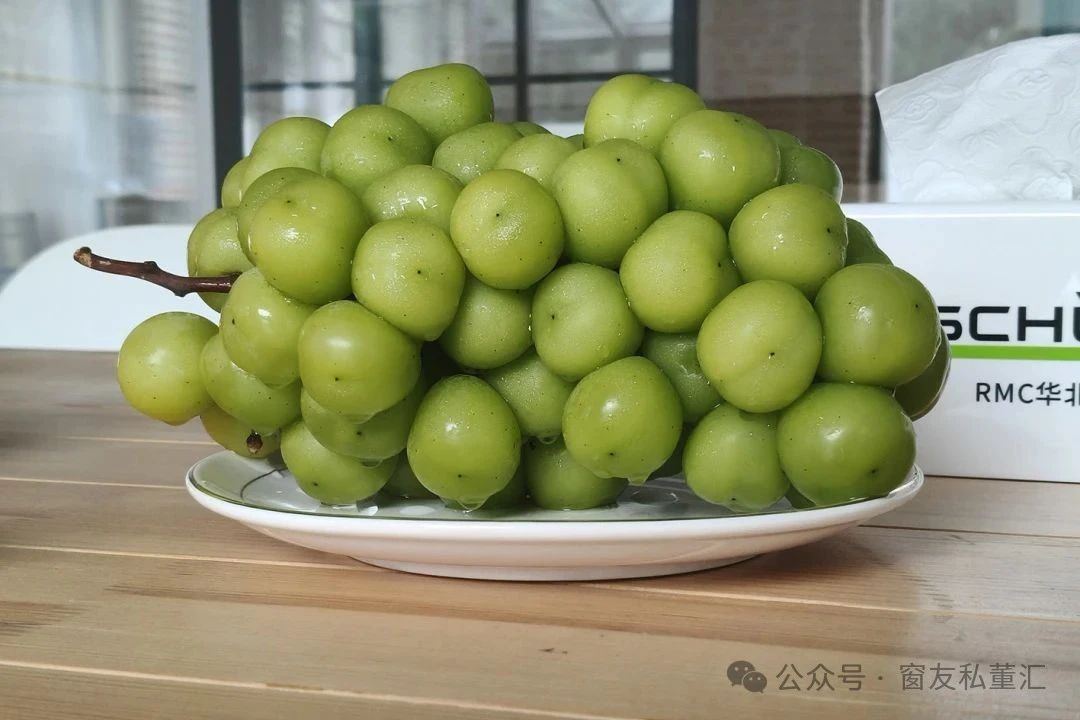 微信圖片_20250821172410.jpg