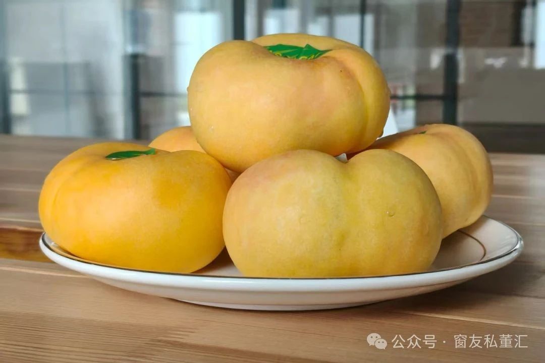 微信圖片_20250821172415.jpg