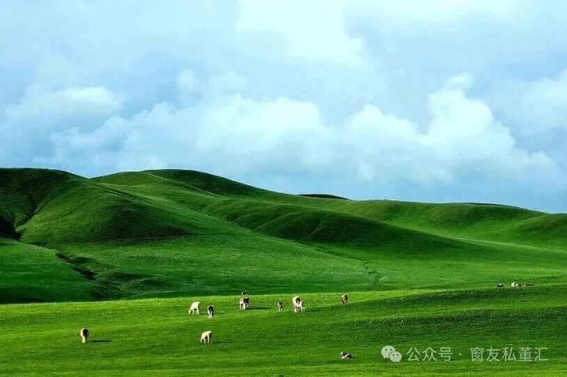 微信圖片_20250902103235.jpg